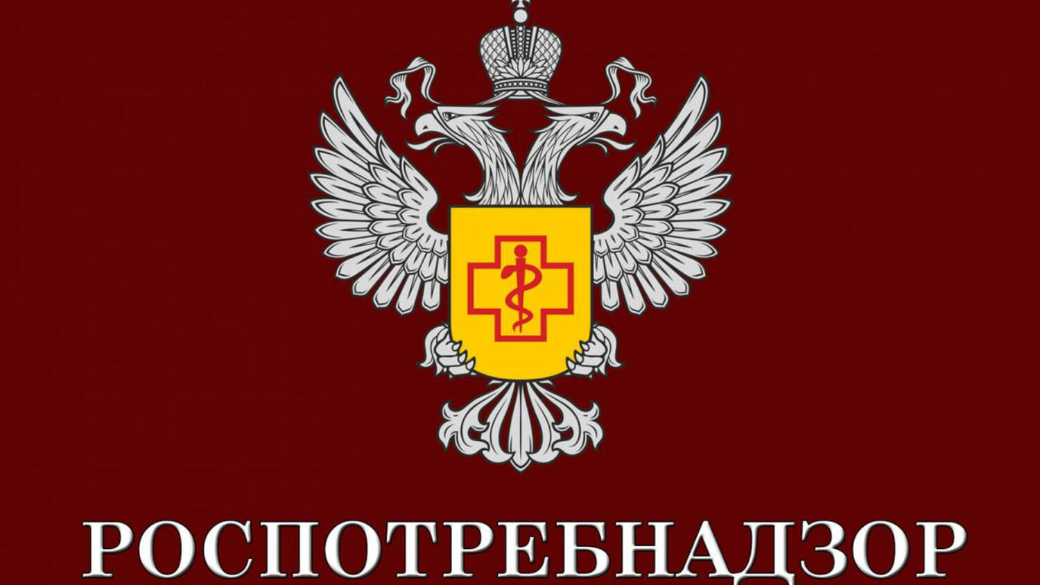 Государственный доклад о состоянии санитарно-